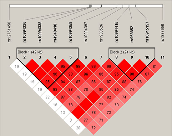 Haplotype block map for all the ANK3 SNPs.