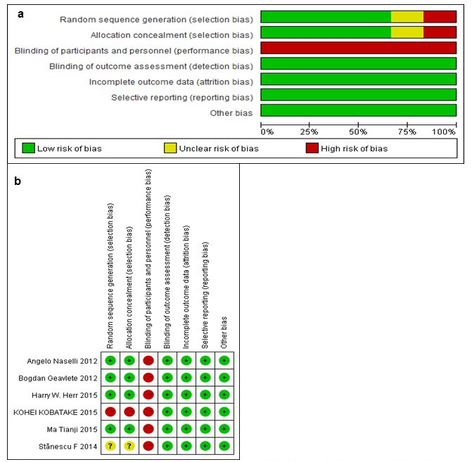 Risk of bias graph (a) and summary (b).