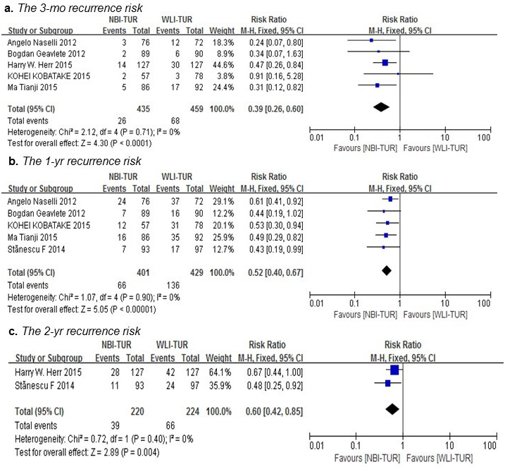 Pairwise meta-analysis for the recurrence risk of NMIBC during the follow-up period.