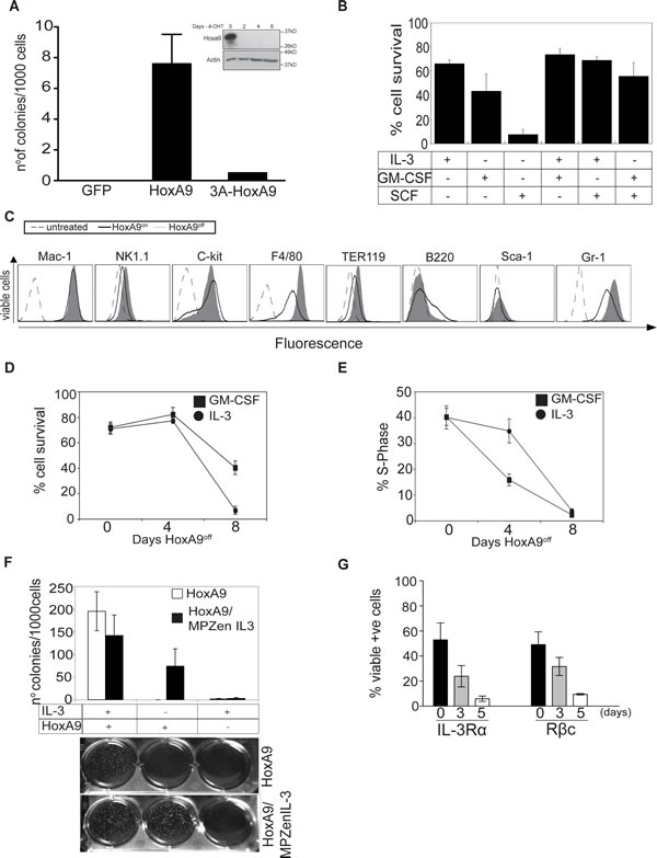 HoxA9 overexpression is required for proliferation and survival of growth factor dependent myeloid cells.