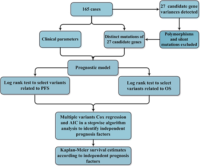 A flowchart for the identification of independent prognostic factors in patients with DLBCL.
