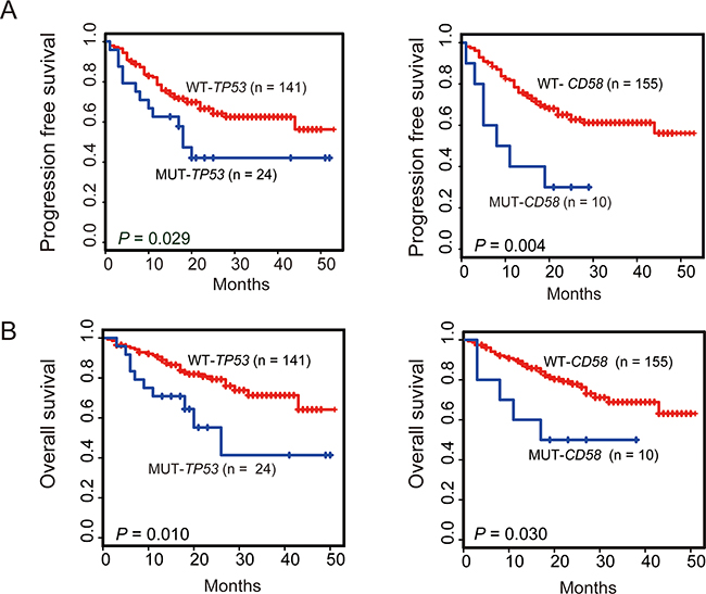 Kaplan-Meier survival estimates according to the mutation status of CD58 or TP53.
