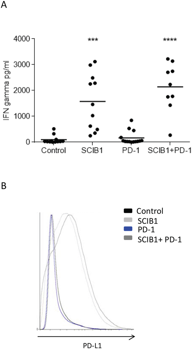 Analysis of TIL function and PD-L1 expression on tumor in mice immunized with single or combination vaccines.