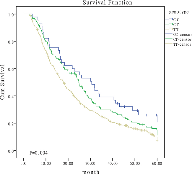 Survival curves for patients with different genotypes of miR-149.