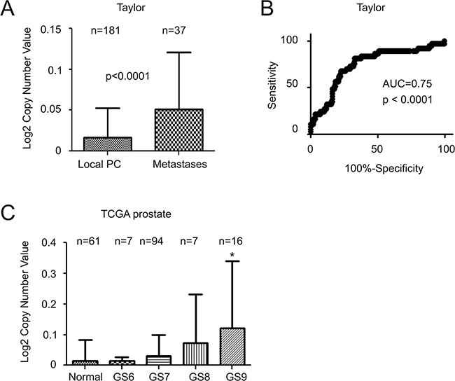 Increases in MUC1 gene copy number in advanced and metastatic PC.