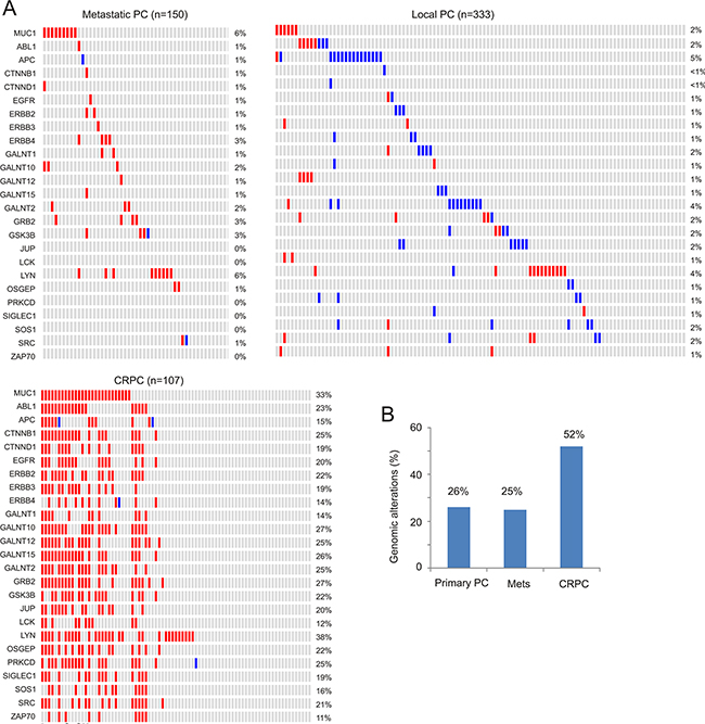 Genomic alterations of genes in the MUC1 network.