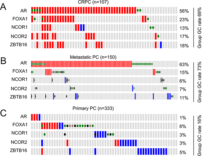 Genomic changes in the AR gene and its coregulators.