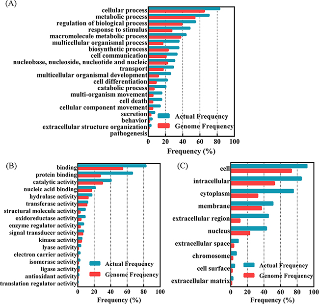 Functional classification of differentially expressed proteins in 3 ovarian cancers compared to normal control with GO Term Finder Mapper (http://go.princeton.edu/cgi-bin/GOTermMapper).