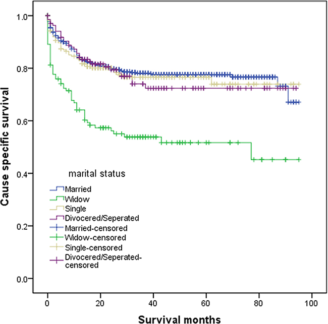 Survival curves of patients with colorectal neuroendocrine tumor according to marital status.