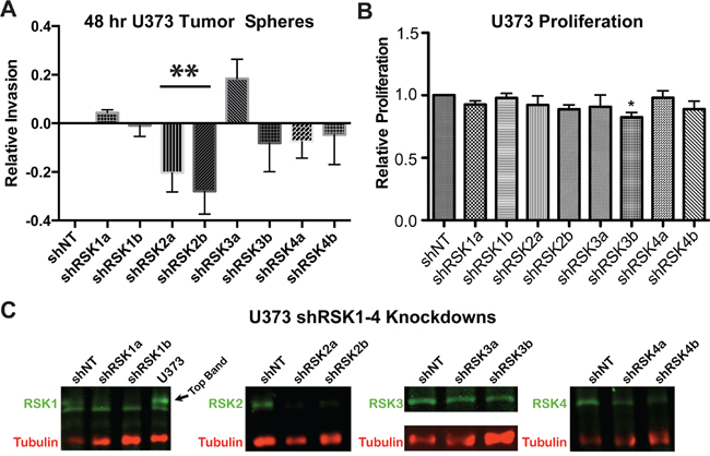 Individual RSK isoforms regulate GBM cell invasion in 3D.