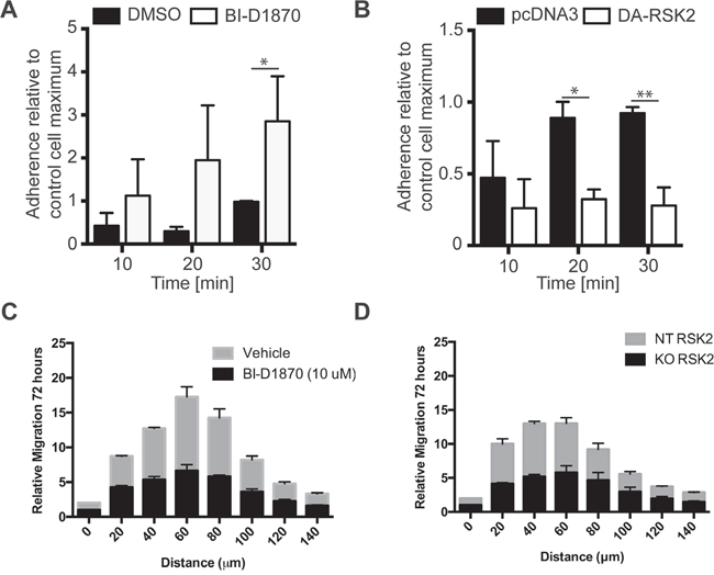 RSK2 activity reduces cell adhesion to fibronectin and invasion into brain slices.