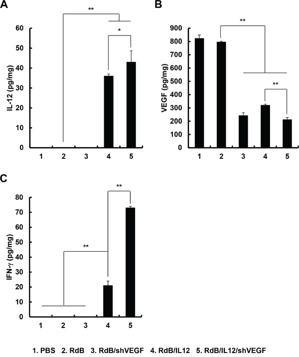 Local tumor expression of IL-12, VEGF, and IFN-&#x03B3;.