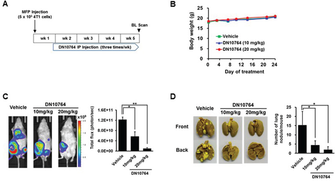 DN10764-meidated suppression of breast cancer metastasis.