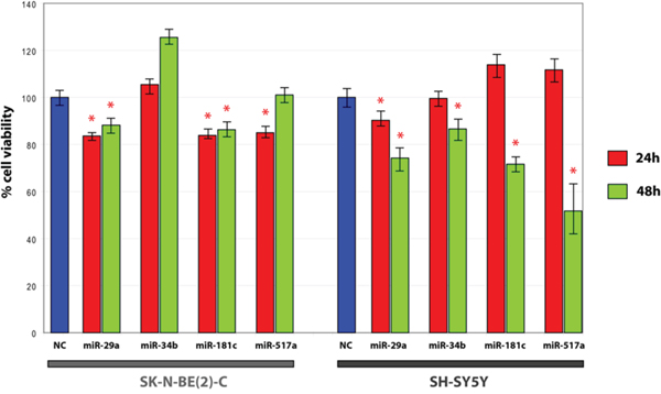 MTT assay in SH-SY5Y and SK-N-BE(2)-C transfected with candidate miRNAs mimics.
