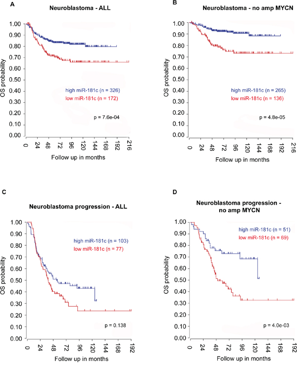 miR-181c expression and neuroblastoma patients&rsquo; overall survival (OS).