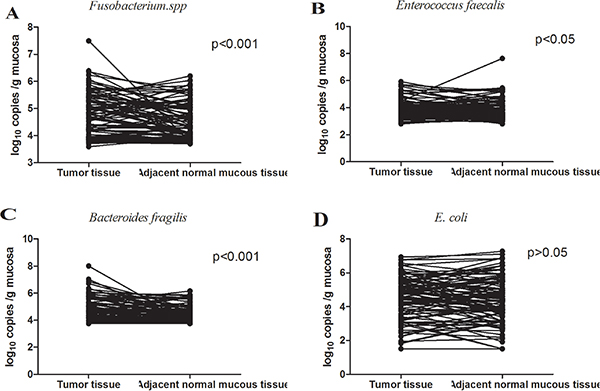 Quantitative real-time PCR analysis of bacteria in CRC tumor and corresponding normal mucous samples, presented as log10 copies/g mucosa of 50 ng DNA.