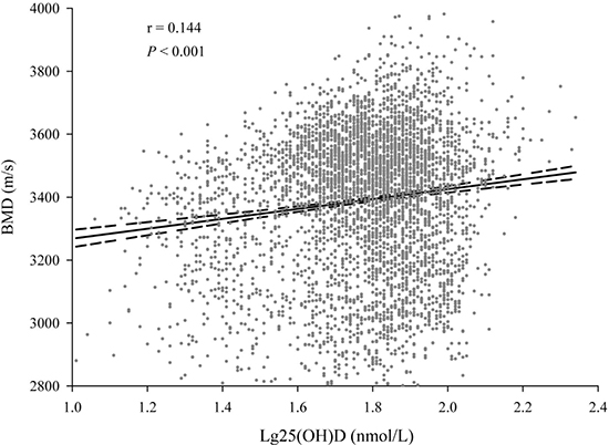 The relation between serum 25(OH)D concentrations and BMD.