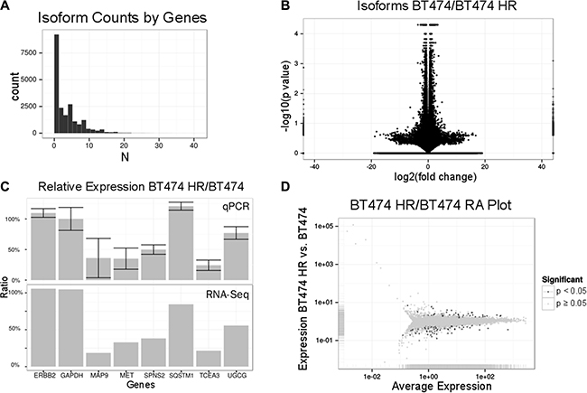 RNA expression profiling of BT474 HR cells.