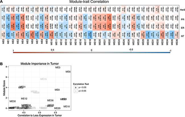 Co-expression analysis of RNA-Seq and TCGA database.