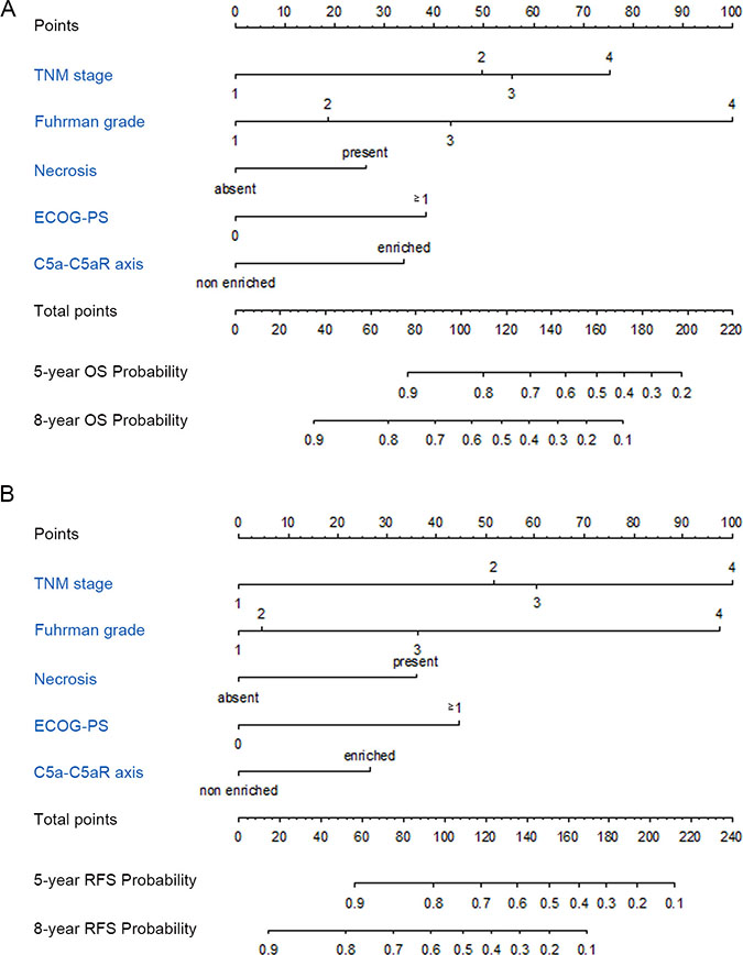 Nomogram for predicting 5- and 8-year prognosis of ccRCC patients.