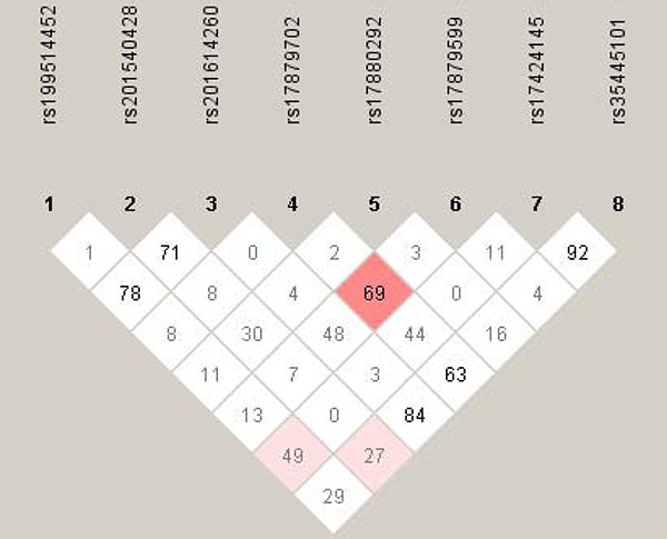 The linkage disequilibrium profiles of eight study polymorphisms.