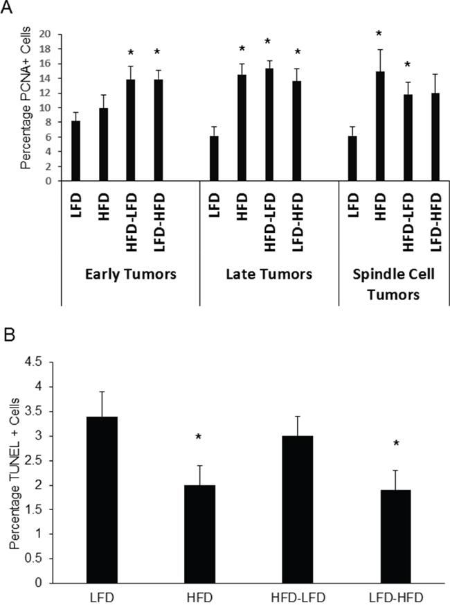 Effects of various dietary regimens on tumor proliferation and apoptosis.