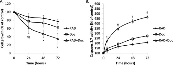 RAD001 sensitizes prostate cancer cells to small doses of docetaxel.