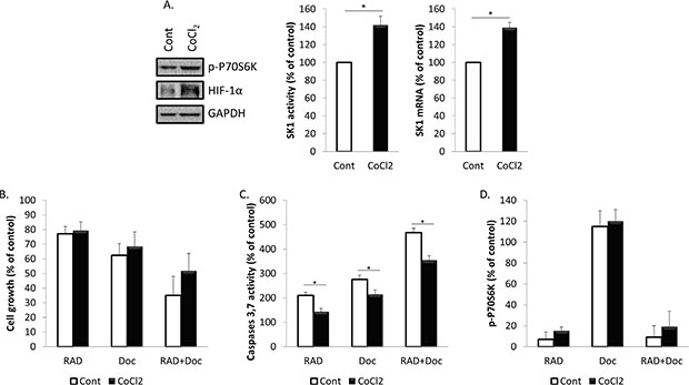 Treatment with CoCl2 increases SK1 expression and partially restores prostate cancer cells chemoresistance.