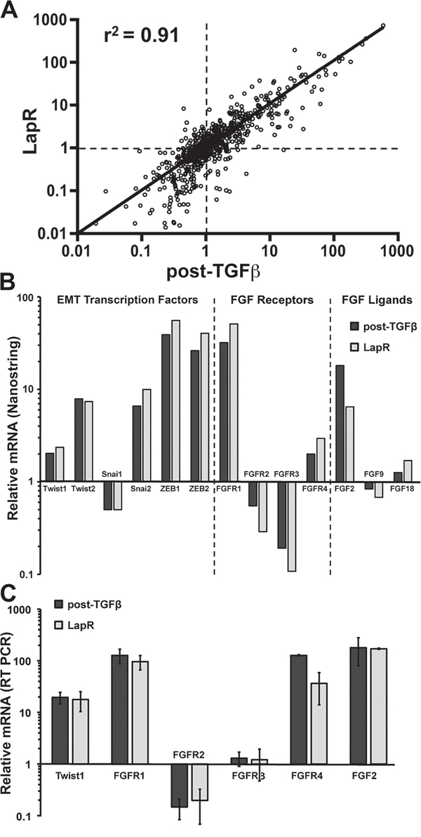 FGFR signaling is similarly increased in acquired and inherent drug resistance.