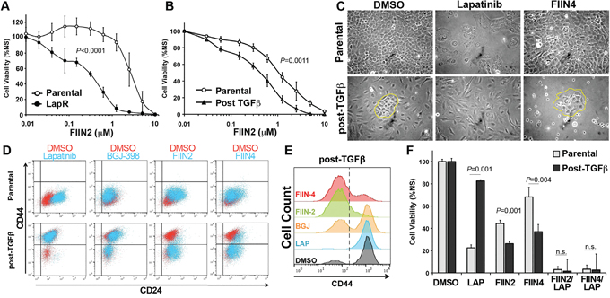 Combination of ErbB and FGFR therapy eradicates CD44high and CD44low cell populations.