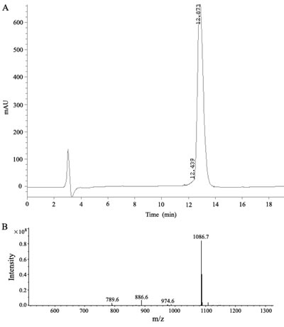 Analysis of the synthetic P9 peptides.