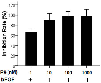Inhibition of bFGF-stimulated proliferation of B16-F10 cells by the synthetic P9 peptides.