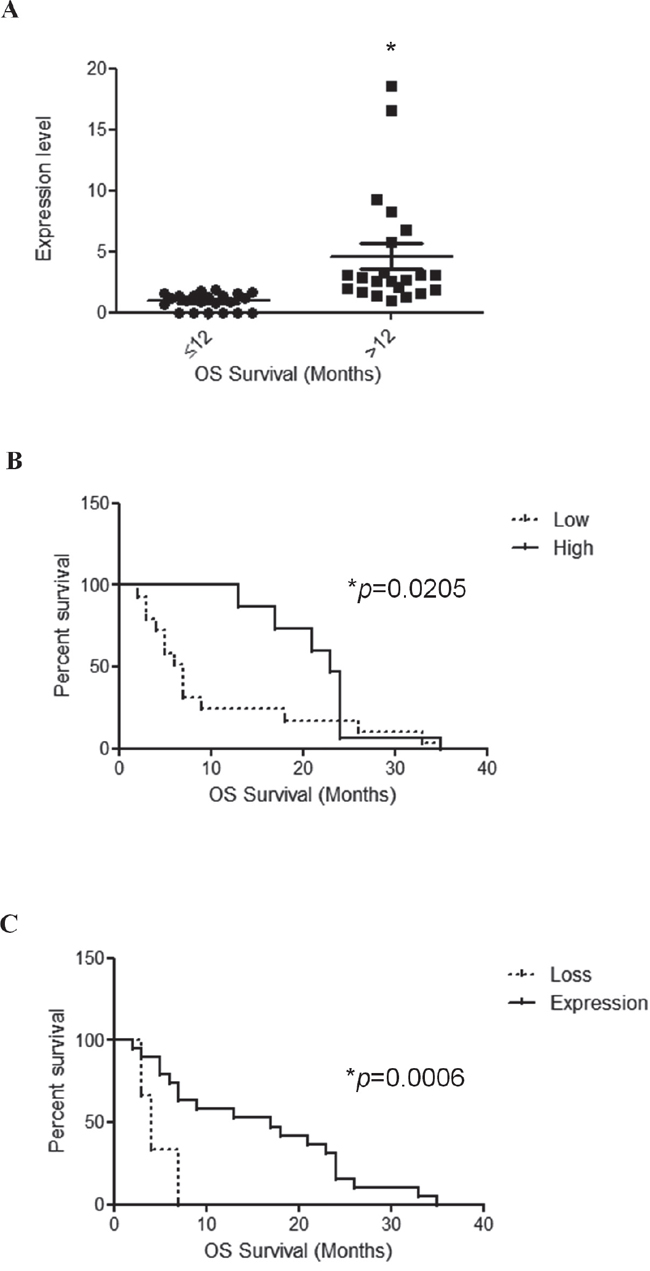 TRPV1v3 mRNA expression correlates with survival.