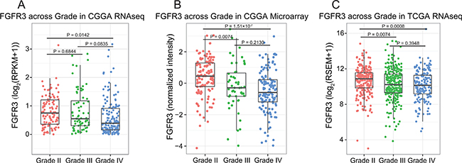 FGFR3 expression pattern across different WHO grades.