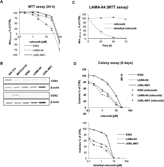 Effects of celecoxib on CML cell proliferation.