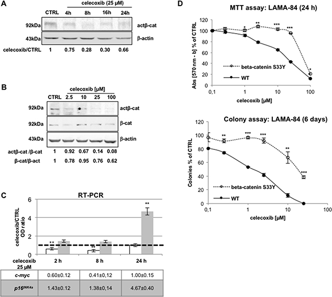 Negative modulation of the Tcf/Lef/&#x03B2;-catenin pathway by celecoxib is essential for its biological effects.