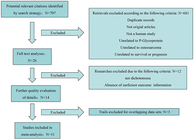 Flow diagram of the study selection process.