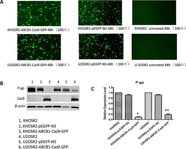 Figure 4: