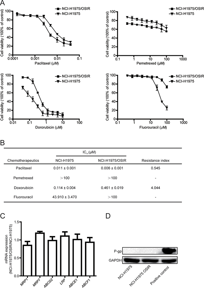 Characterization of the sensitivity of NCI-H1975 and NCI-H1975/OSIR cells to chemotherapeutics.