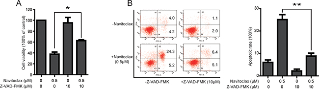 Navitoclax-induced cell viability inhibition and apoptosis can be reversed by pretreatment of Z-VAD-FMK in NCI-H1975/OSIR cells.