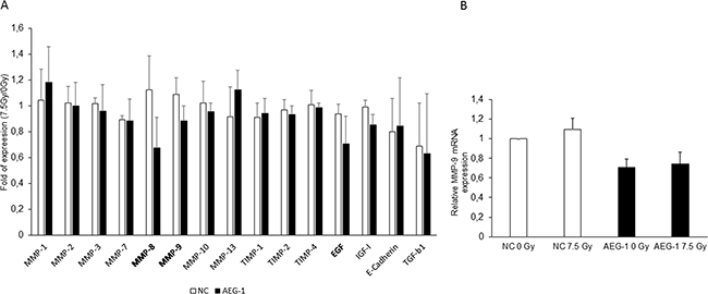 Cytokine array revealed that MMP-8, MMP-9 and EGF were decreased upon radiation in AEG-1 knockdown colon cancer cell lines.