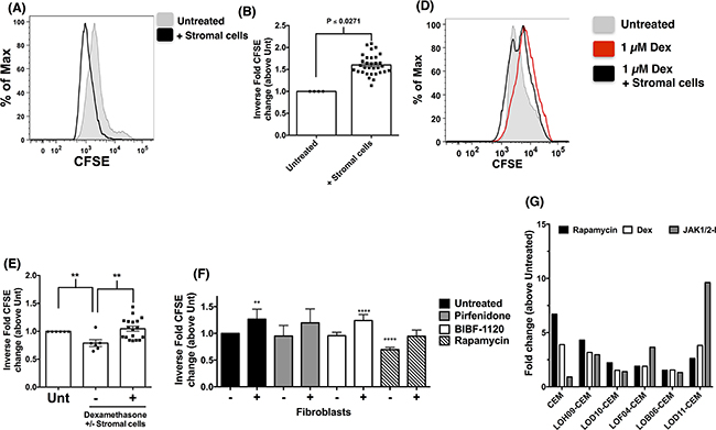 Figure 4. Lung stromal cells promote the survival and proliferation of CEM cells in vitro.