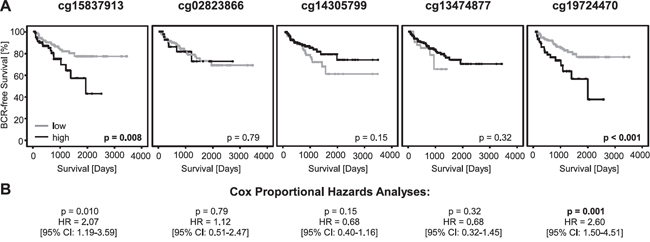 Kaplan-Meier analysis of PD-L1 DNA methylation in prostate cancer patients (training cohort).