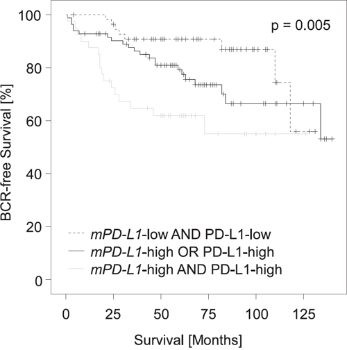 Kaplan-Meier analysis of PD-L1 DNA methylation in combination with PD-L1 protein expression in prostate cancer patients (validation cohort).