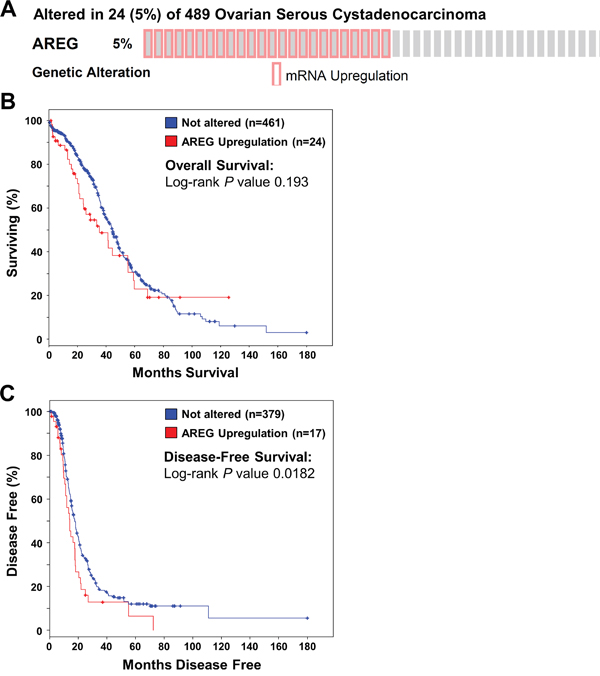 Up-regulation of AREG mRNA is associated with reduced disease-free survival in patients with high-grade serous ovarian carcinoma.
