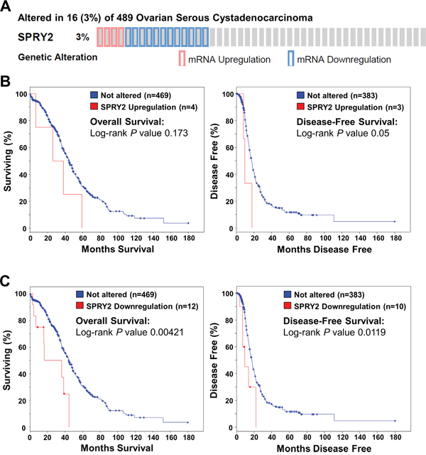 Down-regulation of SPRY2 mRNA is associated with reduced overall and disease-free survival in patients with high-grade serous ovarian carcinoma.