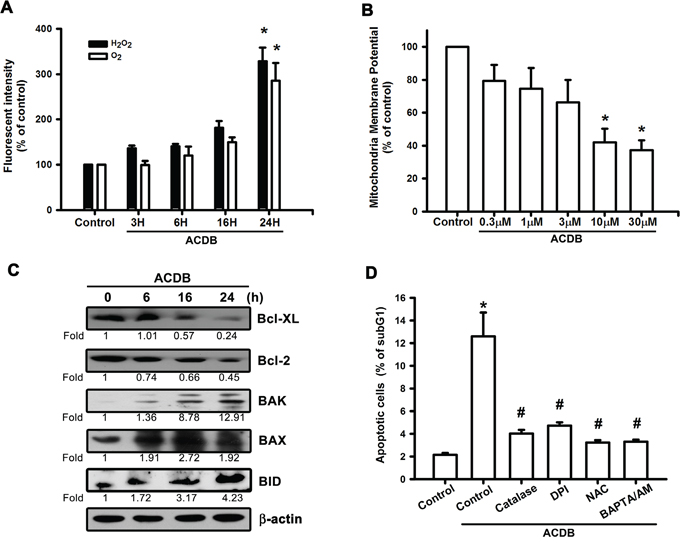 ACDB induces ROS production and mitochondrial dysfunction in human chondrosarcoma cells.