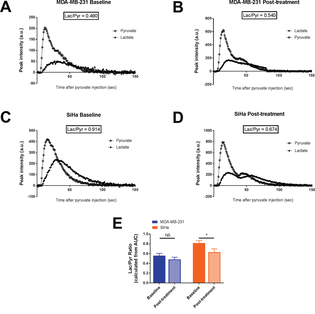 Effect of dichloroacetate on tumor lactate production in vivo.