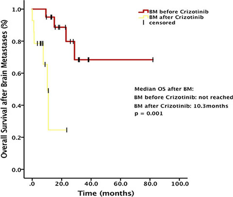 Overall survival (OS) after brain metastases (BM) stratified by baseline BM status.