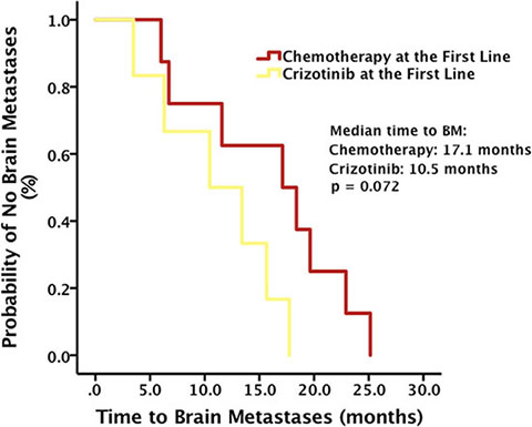 Time to brain metastases (BM) stratified by the first line treatment.